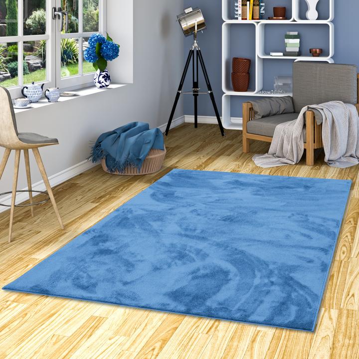 Actual product image Snapstyle Luxury Super Soft high pile long pile carpet Deluxe (160 x 240 cm)