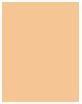 Produktbild Rimmel London Match Perfection SPF20 (102 Light Nude)