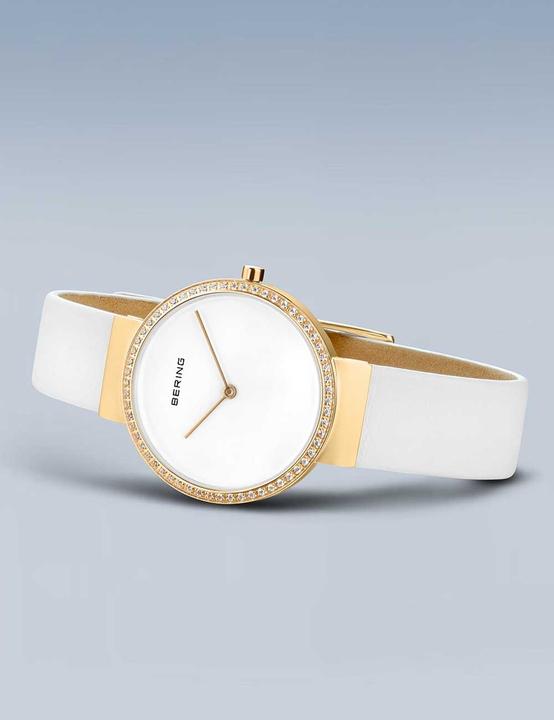 Image du produit Bering 14531-630 (Montre analogique)
