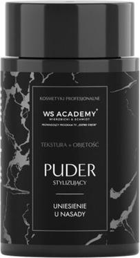Image du produit Ws Academy Poudre coiffante pour la texture et le volume 10G (Poudre de volume)