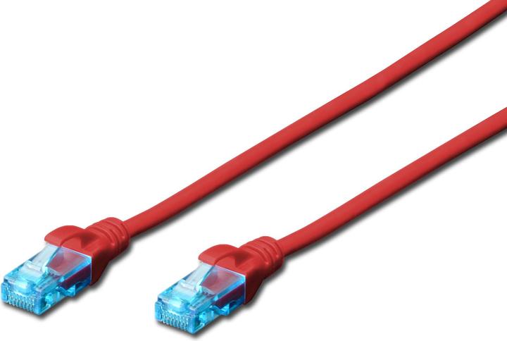 Actual product image Digitus Network cable (U/UTP, CAT5e, 1 m)