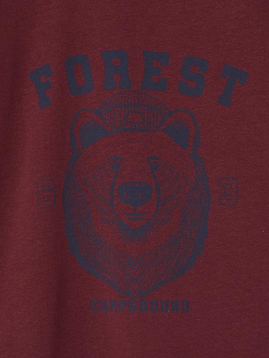 Actual product image Vertbaudet T-Shirt (92)