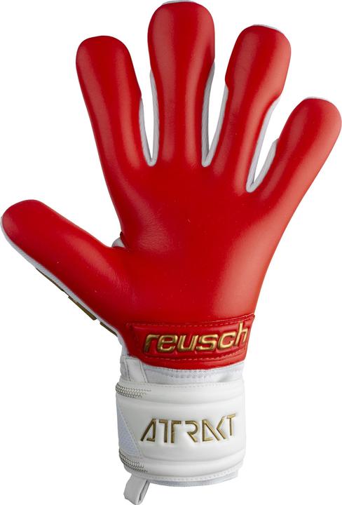 Image du produit Reusch Gant de gardien de but Attrakt Freegel Silver (8)
