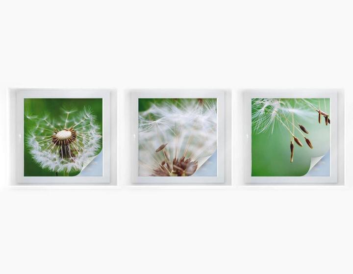 Actual product image Trenddeko Flyers on the move (3 x 40 x 40 cm)