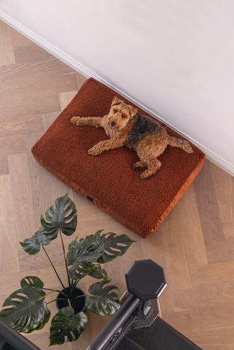 Immagine prodotto Designed by Lotte Liegekissen Ribbed (Cane)