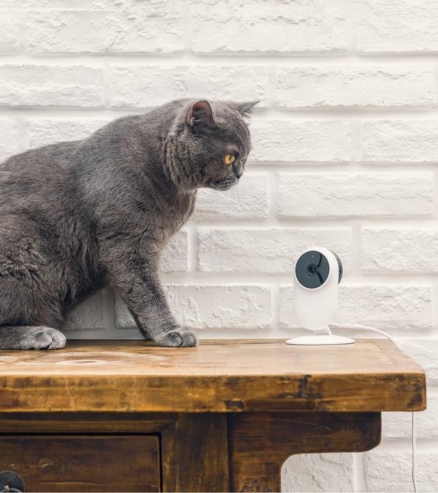 Produktbild Xiaomi Mi Home Security Camera Basic 1080p (1920 x 1080 Pixels)