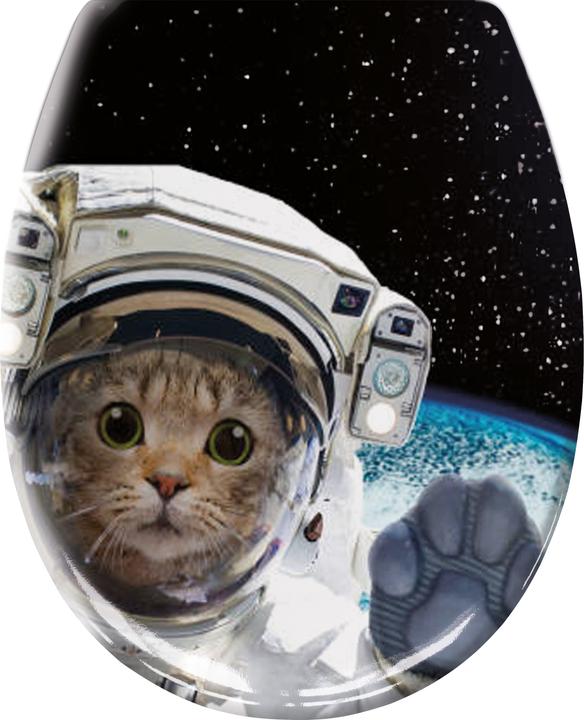 Kleine Wolke Chat Cosmo