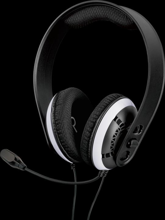 Actual product image Raptor Gaming H200 (Cable)