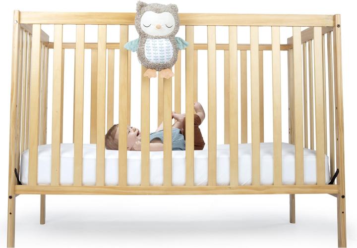 Actual product image Ingenuity Snuggle Sounds™ Nally™ Soothing Plush Toy (22.86 cm)