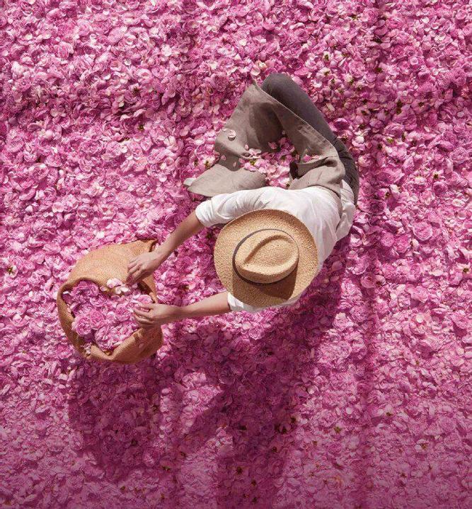 Image du produit Dior Miss (Huile pour le corps, 100 ml)