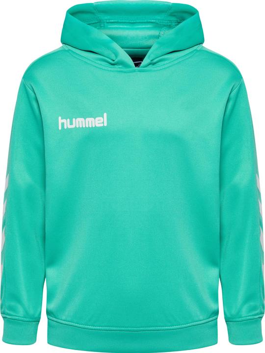 Actual product image hummel Promo Kids Poly Hoodie (140)