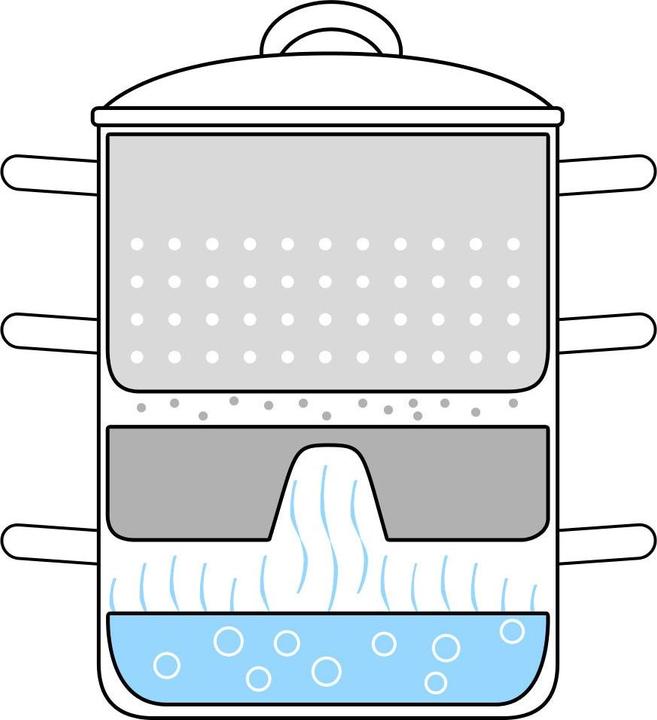 Image du produit tectake Extracteur de jus à vapeur