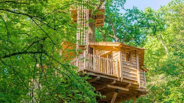 Immagine prodotto Pernottamento in casa sull'albero