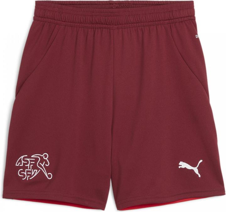 Actual product image Puma SFV Shorts Replica Jr (164)