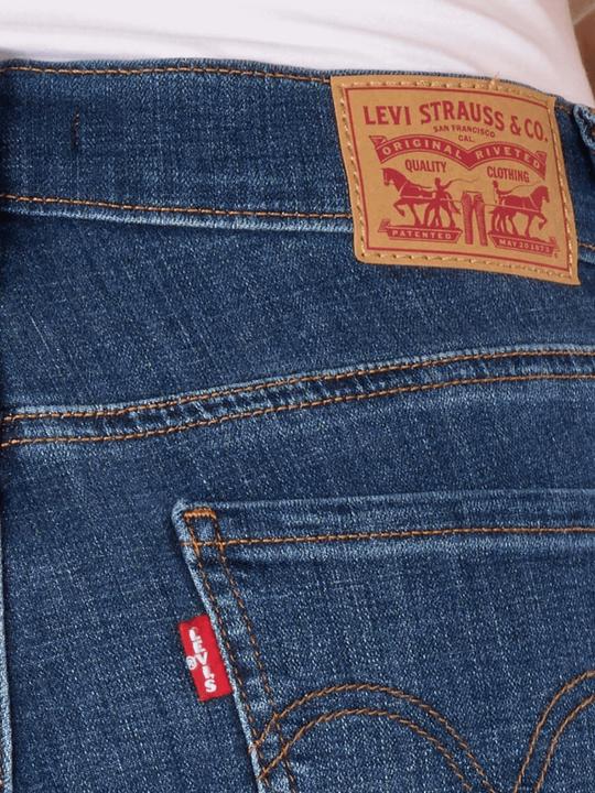 Image du produit Levis 10023524 (W32)