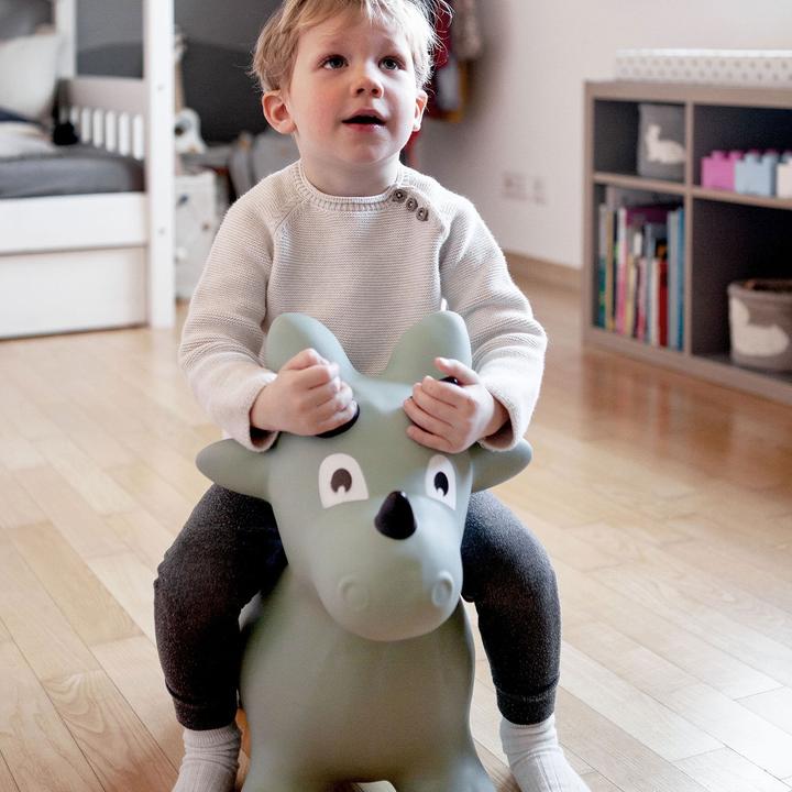 Produktbild Kindsgut Dinosaurier