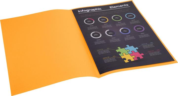 Produktbild Exacompta Sammelmappen - Aktendeckel (A4, 100 x)