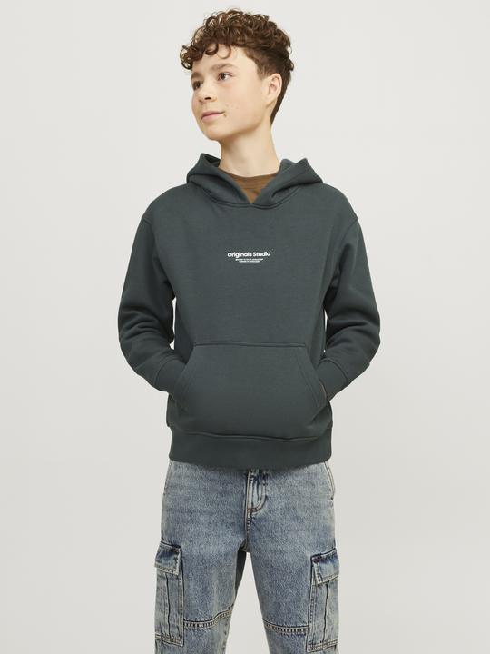 Actual product image Jack & Jones Jorvesterbro Sweat Hood Noos Mni (116)