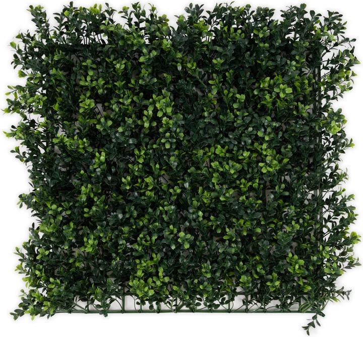 Actual product image Karat Boxwood plant wall (50 cm)