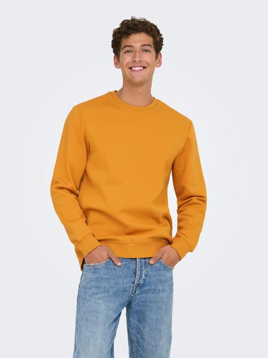 Produktbild Only & Sons Onsconnor Reg Crew Neck Sweat Noos (M)