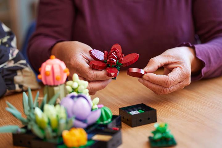 Actual product image LEGO Succulents (10309, LEGO Botanical, LEGO Rare Sets)