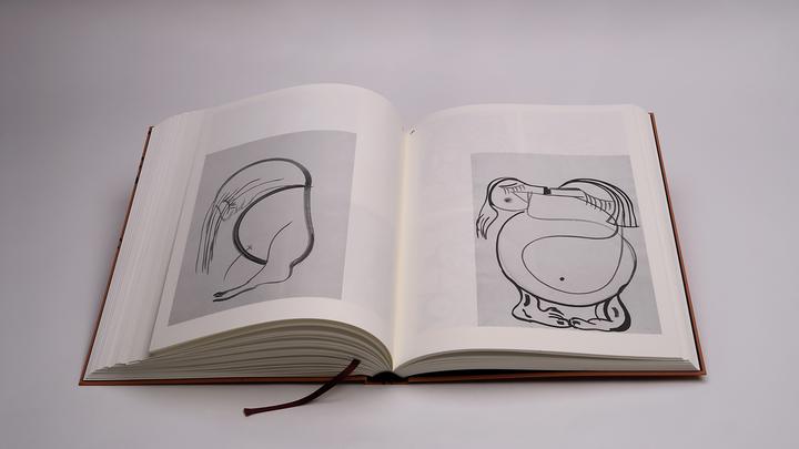 Produktbild Pils:Tobias Pils (Englisch, Willi Schmid, David Kordansky Gallery, Richard Shiff, Galerie Gisela Capitain, Galerie Eva Presenhuber, Tobias Pils, 2024)