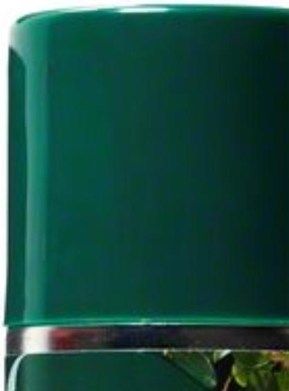 Produktbild Bosch Home & Garden Pflegespray (250 ml)