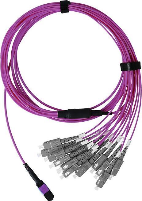 Actual product image BlueOptics Fibre optic MTP/8xSC duplex breakout cable OM4 3 metres (3 m)