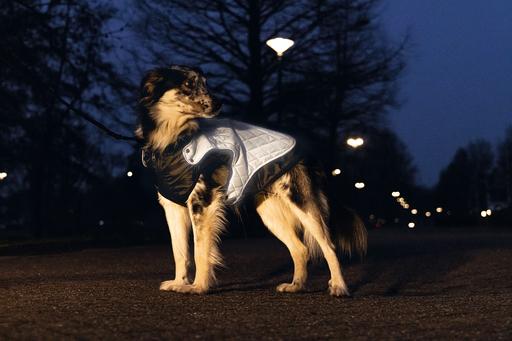 Immagine prodotto Beeztees Allia (52, Cappotto per cani)