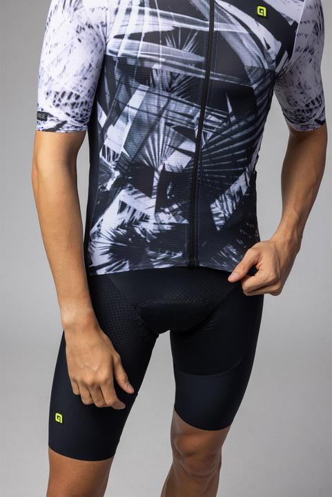 Image du produit Alé Palm (XXL)