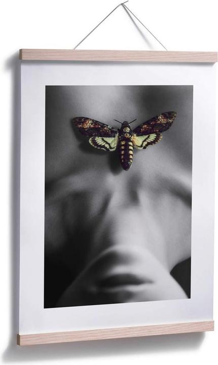 Image du produit Trenddeko Le papillon de nuit (80 x 100 cm)