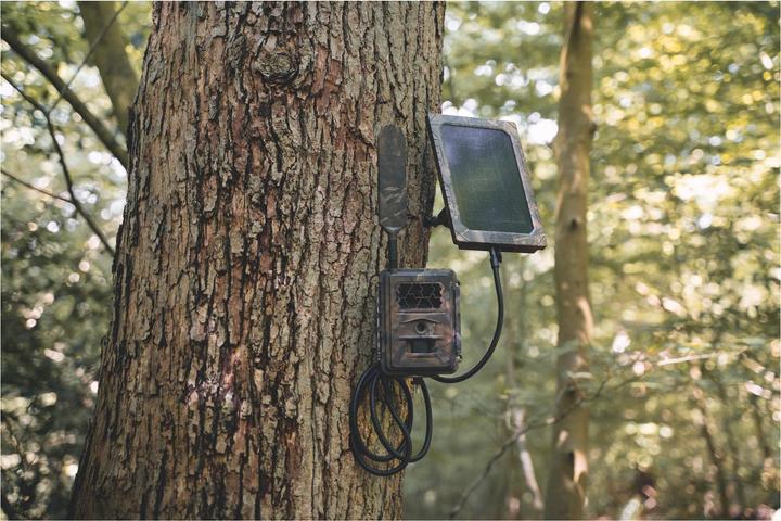 Immagine prodotto Seissiger Telecamera per animali selvatici Special-Cam LTE