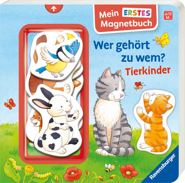 Immagine prodotto Ravensburger Il mio primo libro magnetico: Chi appartiene a chi? Bambini animali - Libro magnetico a partire da (Tedesco)