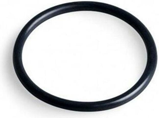 Immagine prodotto Hayward O-ring coperchio pompa Max Flo 2 Rif. SPX2700Z4