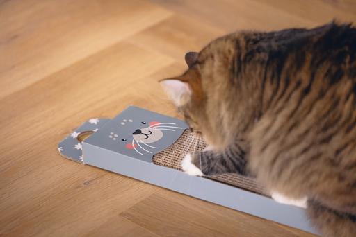 Actual product image Beeztees Cardboard scratching toy Hide (2 cm, Blue)