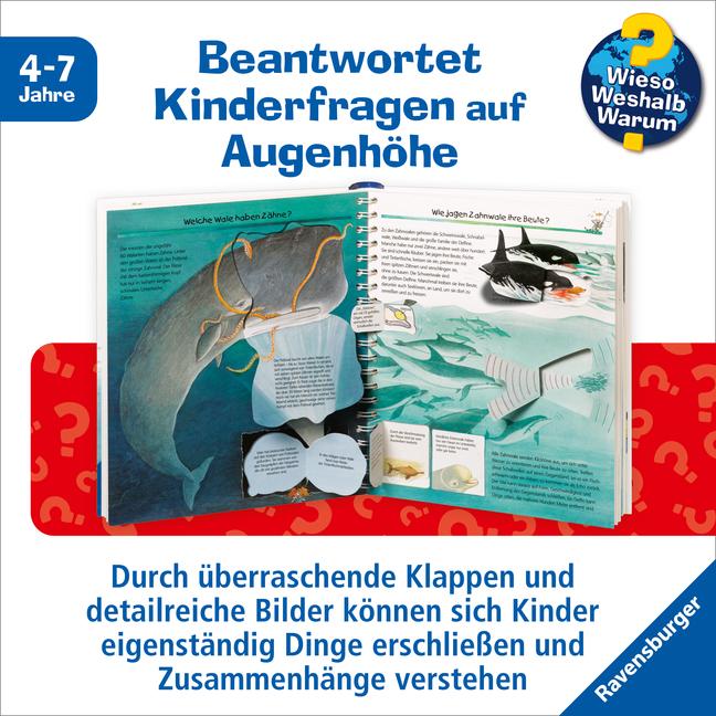Produktbild Ravensburger Wir entdecken Wale und Delfine (Deutsch, Doris Rübel, 2011)