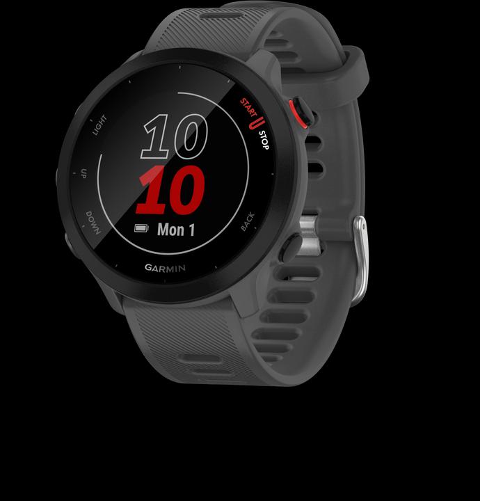 Garmin Forerunner 55 (42 mm)