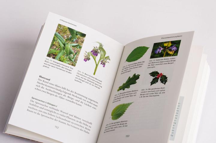 Produktbild Mein Wildkräuter-Guide (Deutsch, Manuel Larbig, 2021)