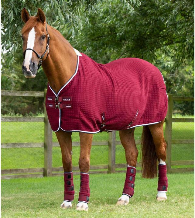 Produktbild Premier Equine Premtex (168 cm)