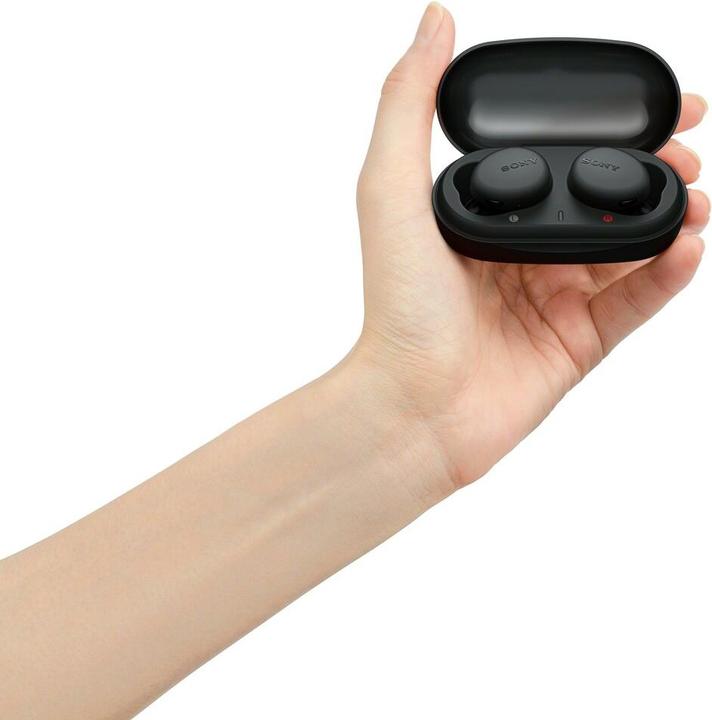 Image du produit Sony WF-XB700 (9 h, Sans fil)