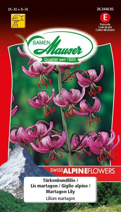 Actual product image Samen Mauser Turk's Crescent Lily (Flower seeds)