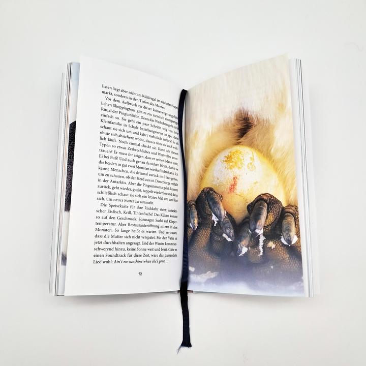Actual product image Der Pinguin, der fliegen lernte (German, Corner species of Hirschhausen, 2025)