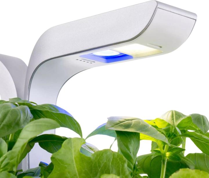 Actual product image Véritable Smart (18.50 cm)