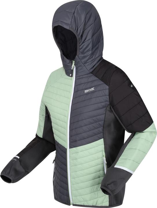 Produktbild Regatta Trutton II Kapuzenjacke (42 D)