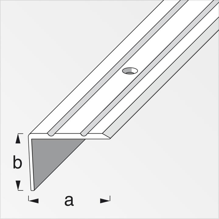 Actual product image Alfer Stair profile aluminum perforated 1 m