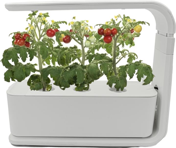 Novidarte Indoor Smart Garden