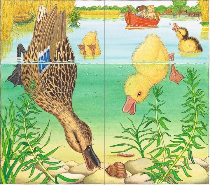 Immagine prodotto Ravensburger Ich bin die kleine Ente (Tedesco, Chiave per elmut, 2016)