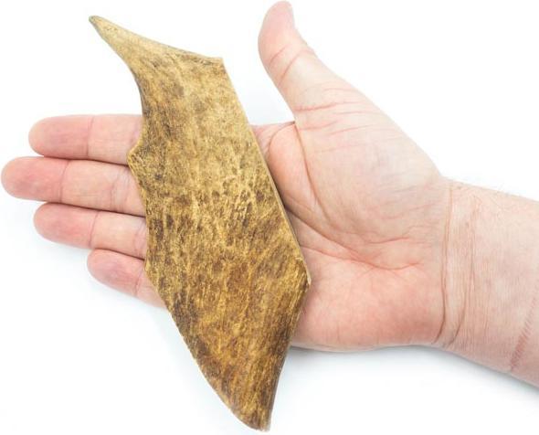 Actual product image 4Dogs Original 4DOGS - Fallow deer antlers (hard) - L (Dog activity toy)