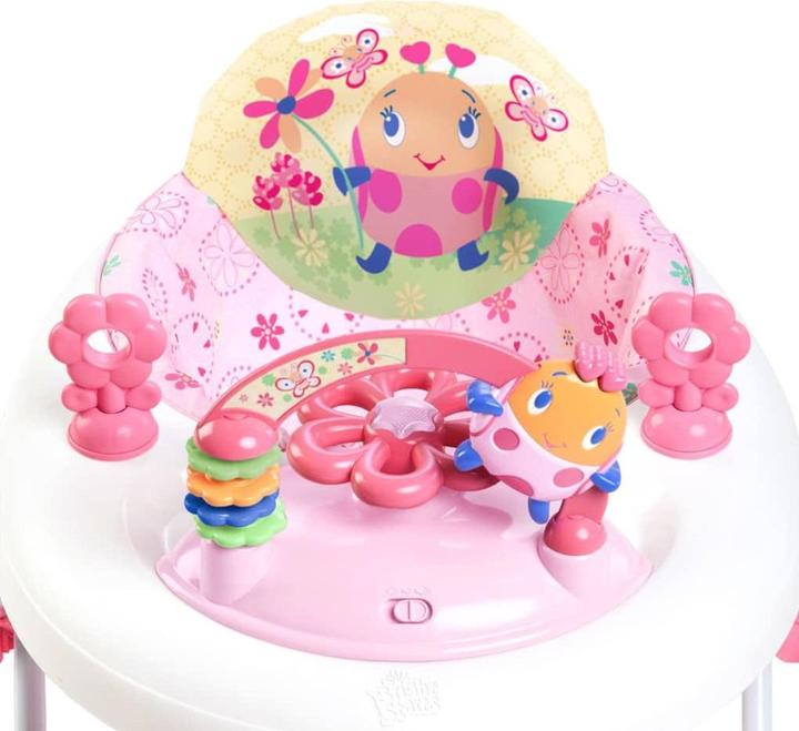 Actual product image Bright Starts Baby walker