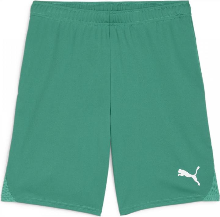 Produktbild Puma teamGOAL Shorts (XL)